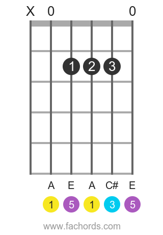 hand placement for guitar chords