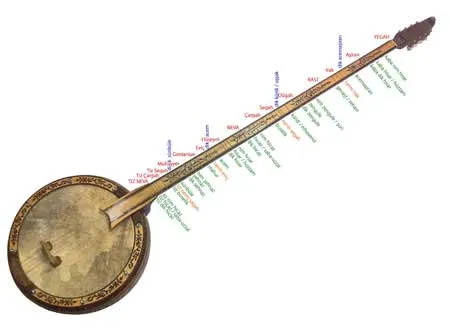 guitar ancestors: the tanbur