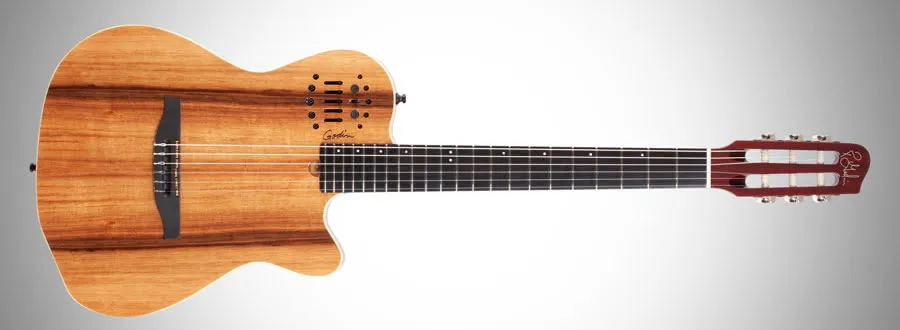Godin 031979 acoustic guitar