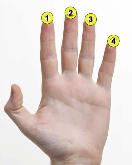 left hand fingers