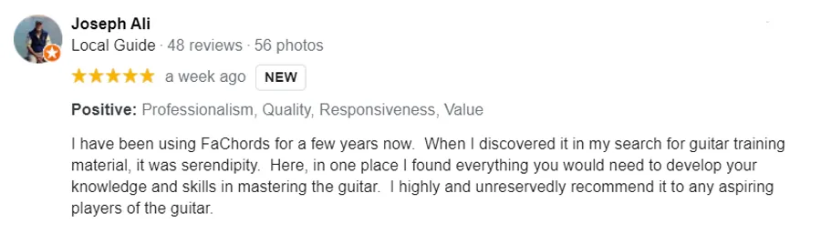 fachords guitar review