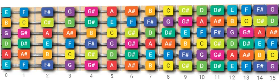 Guitar Fretboard Notes Chart with natural and sharp notes