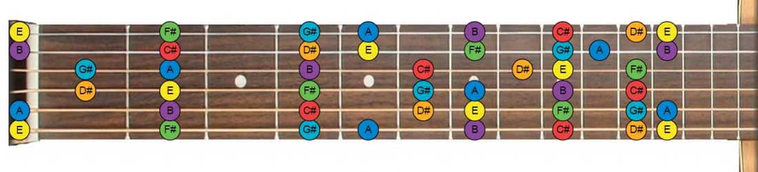 Guitar Fretboard Notes | How To The Fretboard