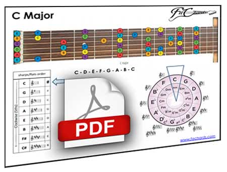 Guitar Fretboard Notes How To Learn The Fretboard