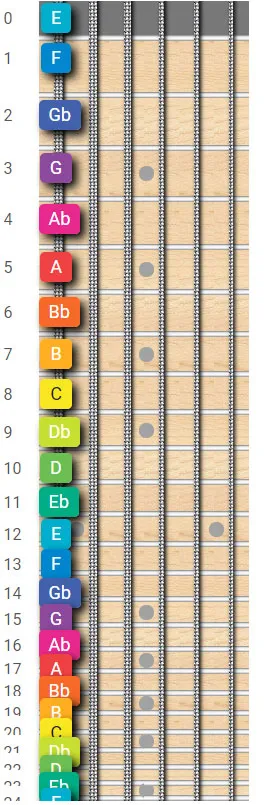 first 12 frets of the guitar