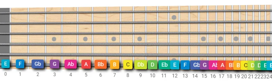 first 12 frets of the guitar