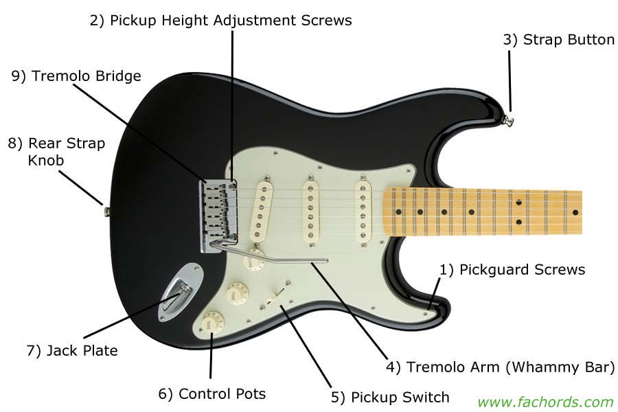 parts of the electric guitar