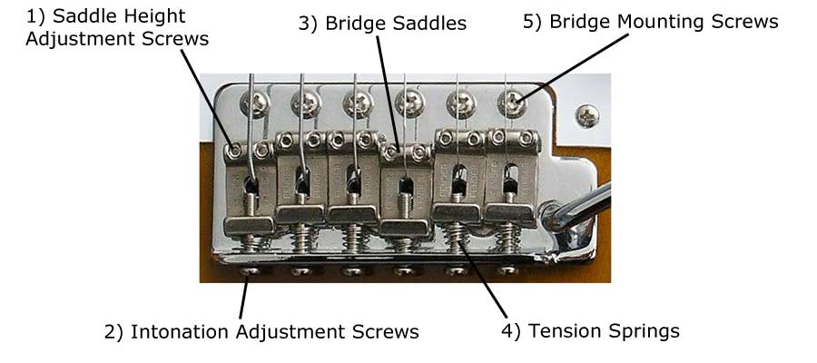 What are the Screws on the Bridge of an Electric Guitar for  