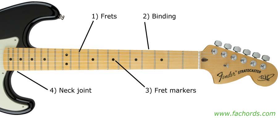 Guitar Parts Names: Know The Parts Of Electric Guitar