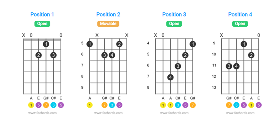 Guitar Chords Explained Diagrams Fingerings Construction