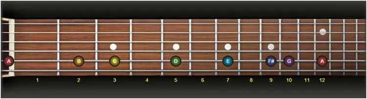 guitar fretboard notes exercise