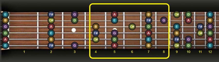 Guitar Scales: Learn The D Major Scale Inside Out