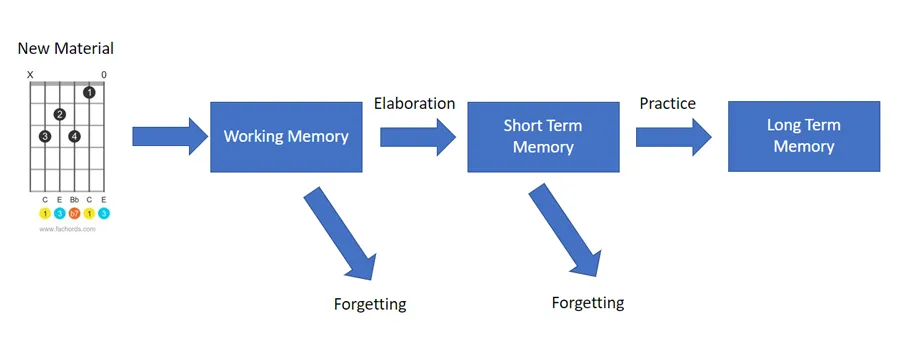 working, short-term and long-term memory