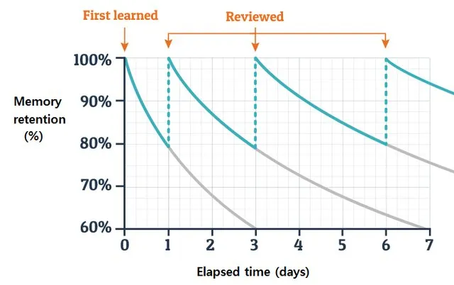 the forgetting curve