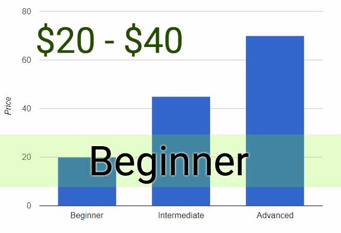 How much do guitar lessons cost? Our lessons prices survey