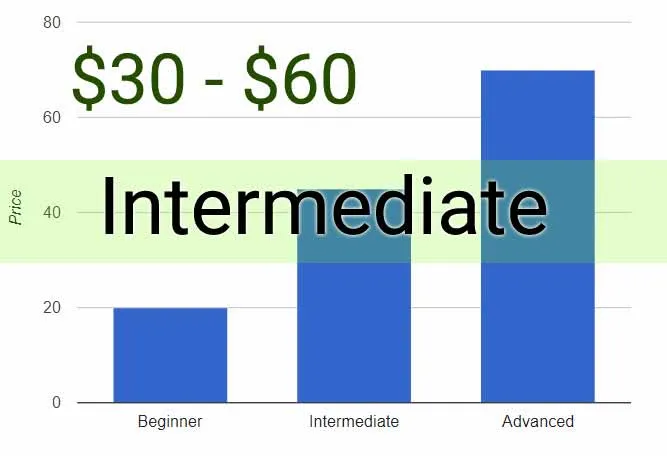 intermediate guitar lessons price