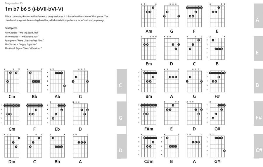 Guitar Chords Bible: Instant Access To 1053 Chords with Chord Functions And Progressions [Book]