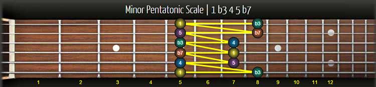 scales boxes