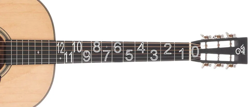 guitar frets